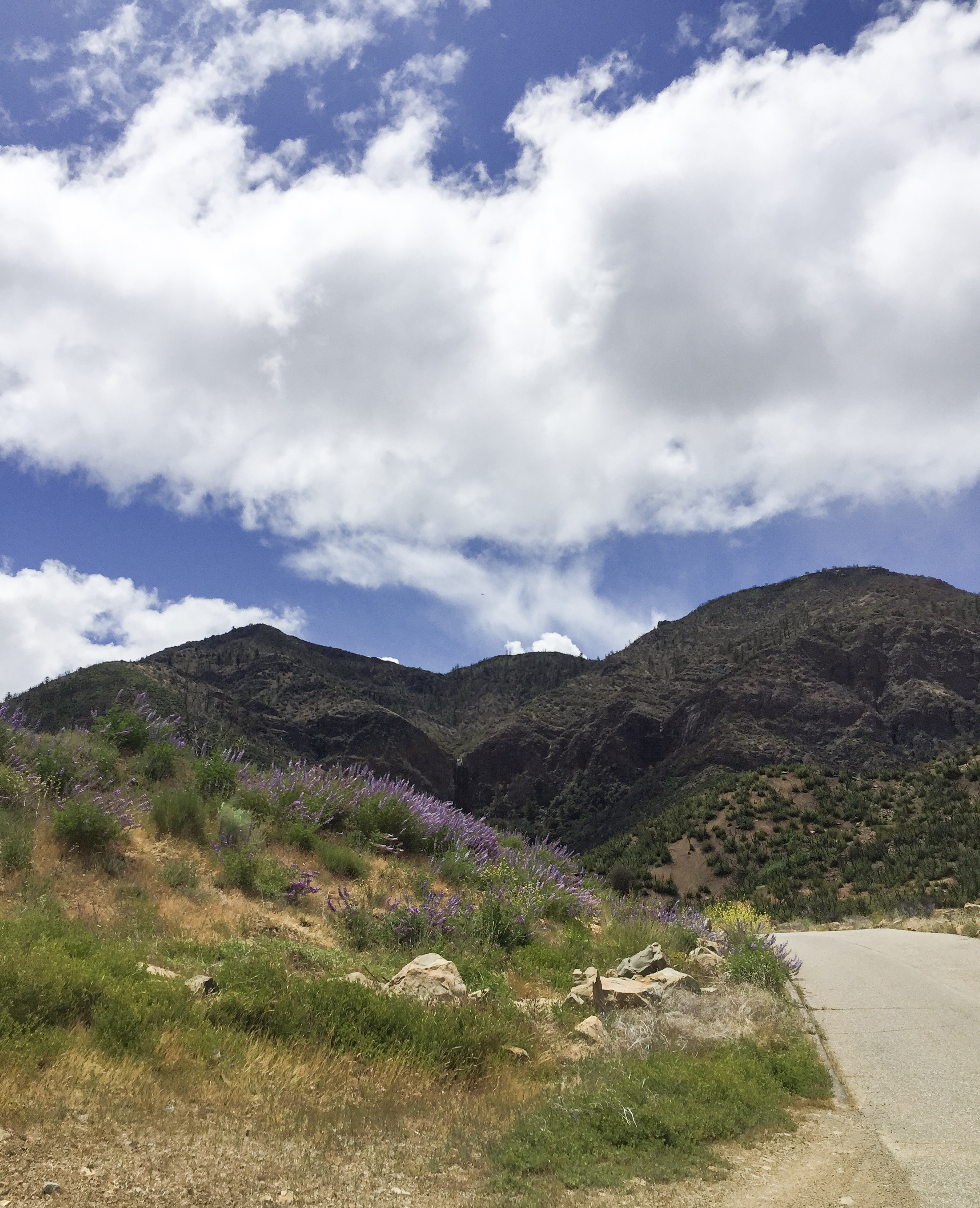Rose Valley Waterfall in Los Padres National Forest
